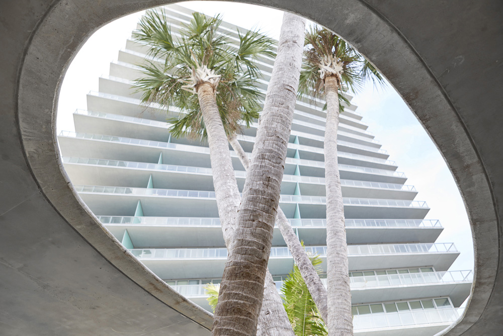 upward view of modern apartment building with palm trees in Miami by Airey Spaces