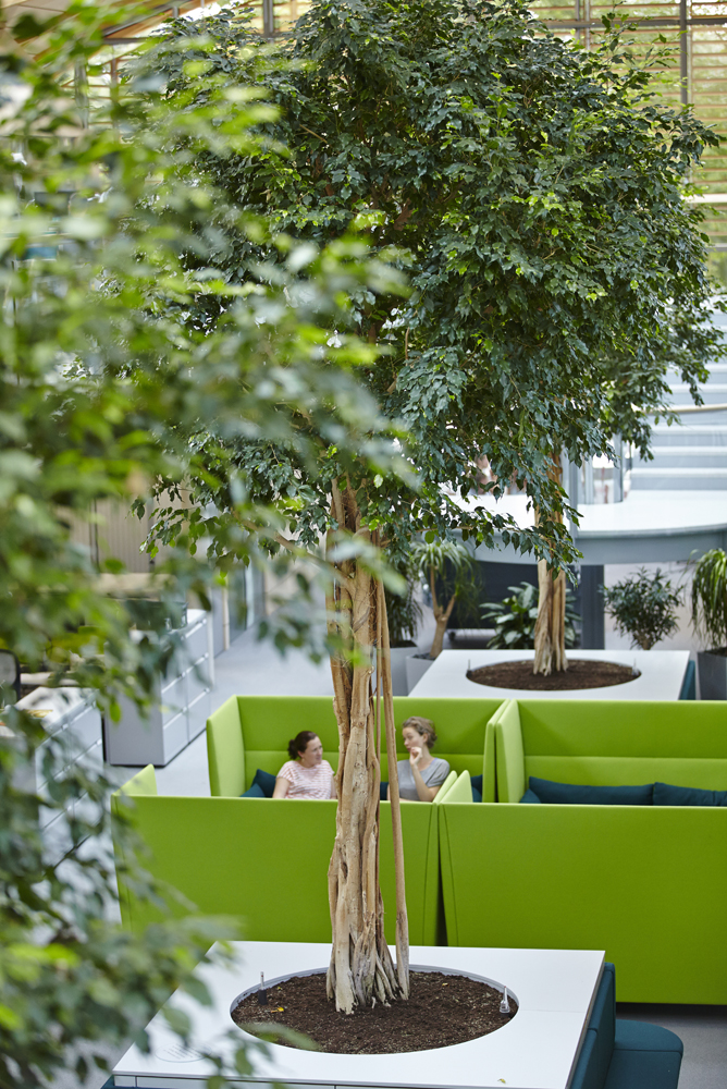 trees in living planet centre office space in WWF building by Airey Spaces